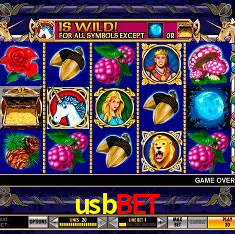 Exclusive Offers usbbet